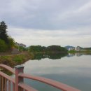 바바라무인텔 이미지