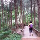 용문산관광지(야영장) 이미지