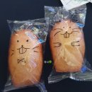 정환광고기획 | 청년인문공감 5일차 :: 종합발표회, 폐막식 + 앞으로의 방향성
