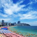 아름답개 이미지