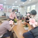 다이보 티스토리