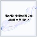 아이러브독강아지 - 천안시 서북구 불당4로 106 | 아이러브독강아지