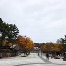 대천공원2호 이미지