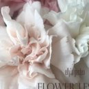 반송동123 이미지