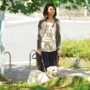 올어바웃도그 이미지