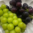 원택농장 | [진천 덕산 포도 맛집] "산포도원" 재구매 후기! 샤인머스켓 내돈내산 후기! (택배가능, 가격정보 있음)