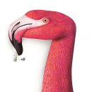 (주)고귀 이미지