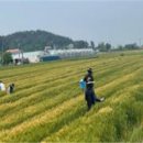 기술보급과 이미지