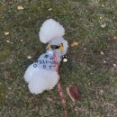 짱구 커스텀 | [공지] [내돈내산 커스텀 커플룩] 드디어 성공😭 짱구와 첫 커플룩 입다 (기모 털빠짐 팁)