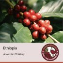 웅지 | (생두후기) 세웅지씨 에티오피아 아나로빅 와이니 G1 후기