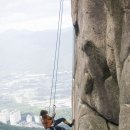 창수네김 이미지