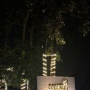 코코트리 | 보홀 코코트리 리조트 내돈내산 솔직 후기｜공항 근처 0.5박 추천? 위치 단점 정리