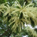 부곡2리경로당 이미지