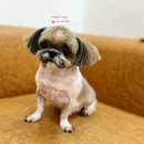 수원-0591 이미지