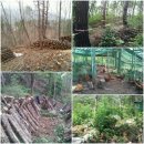 십년농장 이미지