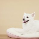 파란동물병원 이미지