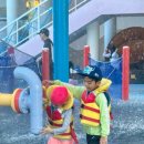 혁신이지태권도전주본관 이미지