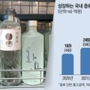 증류 이미지