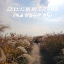 22/11/15일(화) 오공걸음질 제32회-마포 하늘공원 억새축제 (청농이 오공대타로 깃발) 이미지