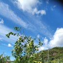 오남농장 이미지