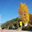 벽탄초등학교 이미지