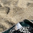 이마트24 속초고속터미널점 이미지