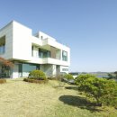 풍요의 바람 이미지