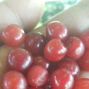 아베끄망펜션 이미지