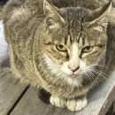 더반하다뷰티 이미지