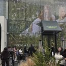 비소(조)-일-15 | 성수 놀거리 3월 팝업스토어 조 말론 런던 잉글리쉬페어 올리브영 후기