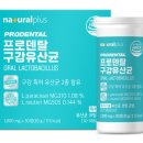 수플러스덴탈 이미지