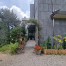 달빛소나타 화덕구이 이미지