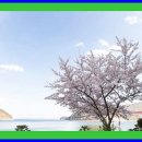 귀보석 - 수원시 권선구 세지로82번길 3 | 귀보석