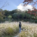 동명세차장 | 25년 11월 일상