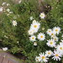 금강로하스 해피로드(2) 이미지