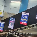 수영생명선의원 이미지