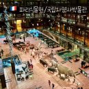 구바울기념의학박물관 | 파리여행 | 파리식물원 국립자연사박물관 방문 후기