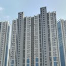 디엠씨경기 이미지