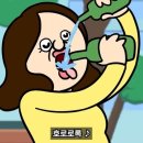 힐마레 - 36075 | 힐마레