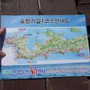 동백7호