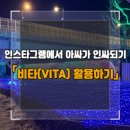 비타(vita)
