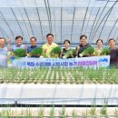 장성군농업기술센터 | ✨ 남도농업의 게임 체인저? 쪽파 수경재배로 대박 예감! 장성군 농가 현장 리포트 💚