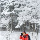 성철목장 이미지