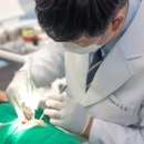 라인플란트치과의원 이미지