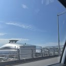 240930 호주 가기 전 🇭🇰홍콩🇭🇰 컴백😆 퉁청역 하루! Hi, ThungChung!
