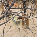 서울숲12 이미지