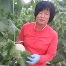 황가네농장 이미지