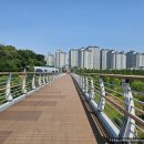 파주수국길(주) 이미지