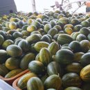 들길농장2 이미지