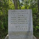 어도숲 캠핑장 이미지